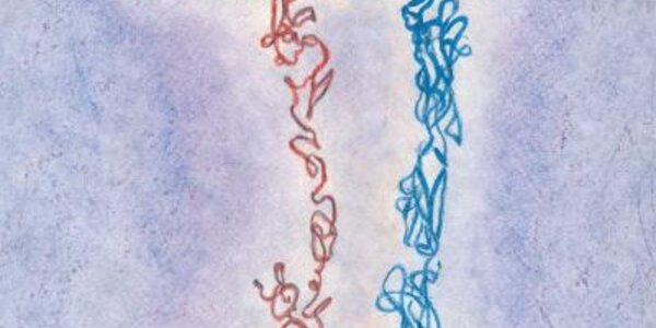 Article teaser image