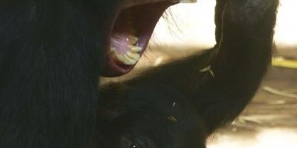 Article teaser image