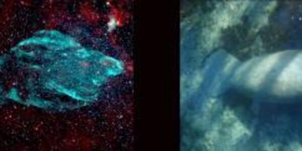 Article teaser image