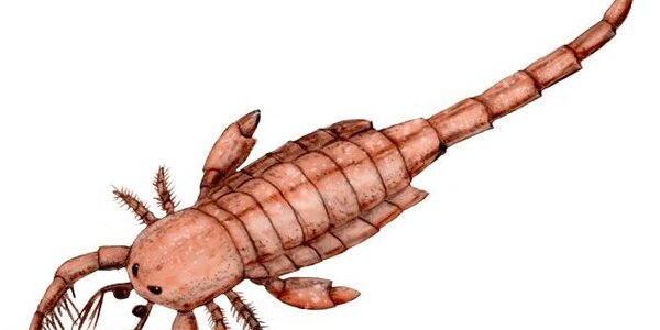 Article teaser image