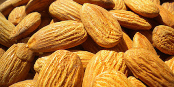 Article teaser image