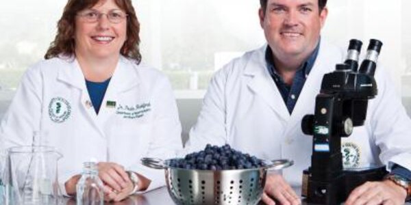 Article teaser image