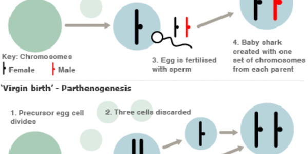 Article teaser image