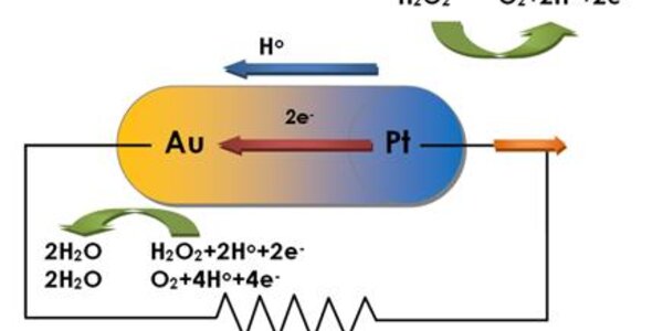 Article teaser image