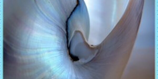 Article teaser image