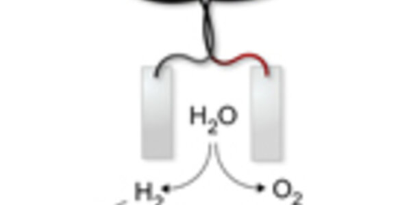 Article teaser image