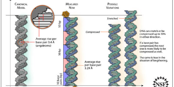 Article teaser image