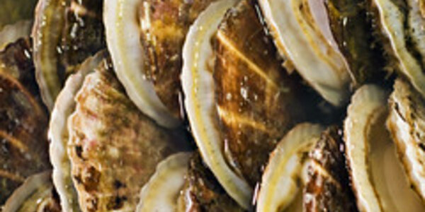 Article teaser image