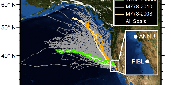 Article teaser image