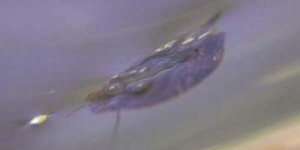 Article teaser image