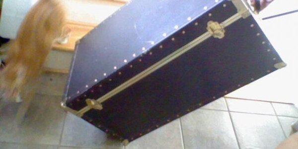 Article teaser image