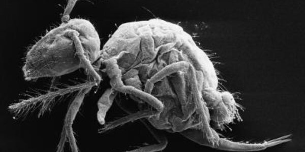 Article teaser image