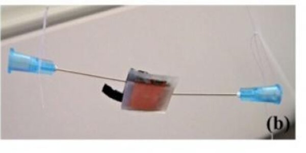 Article teaser image