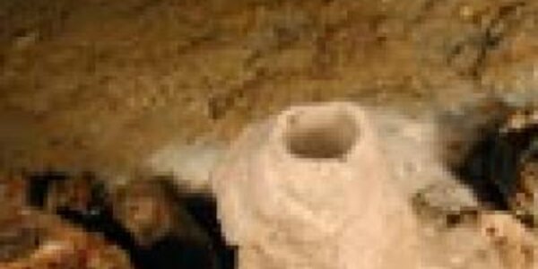 Article teaser image