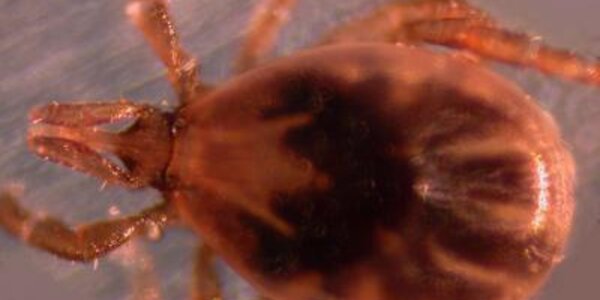 Article teaser image