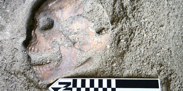 Article teaser image