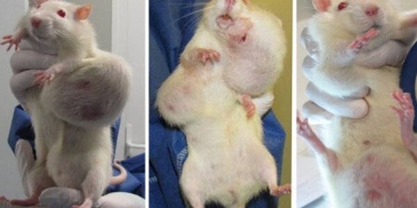 Article teaser image