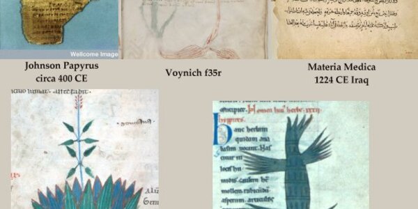 Article teaser image