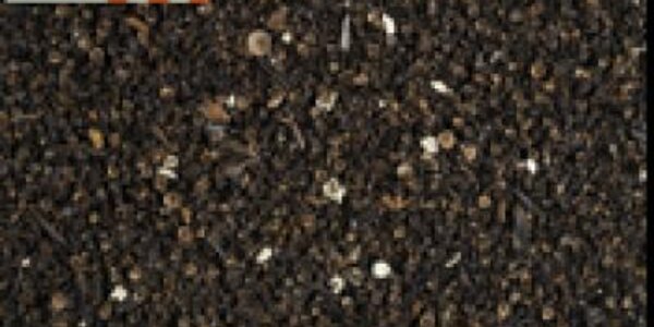 Article teaser image