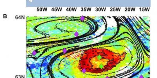 Article teaser image