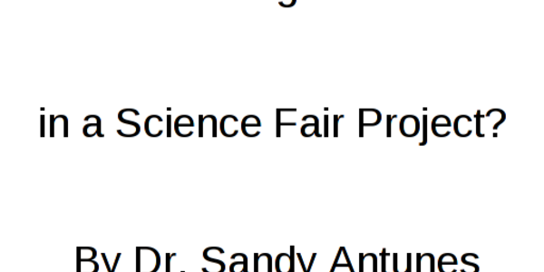 Article teaser image