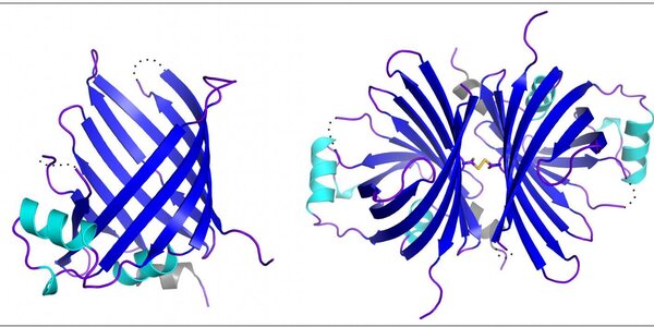 Article teaser image