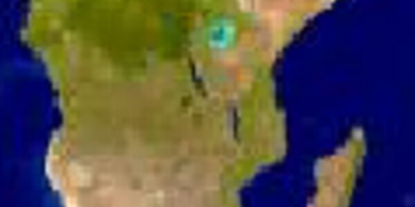 Article teaser image