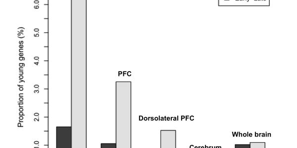 Article teaser image