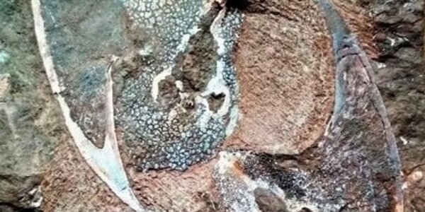 Article teaser image