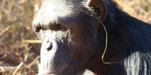 Article teaser image