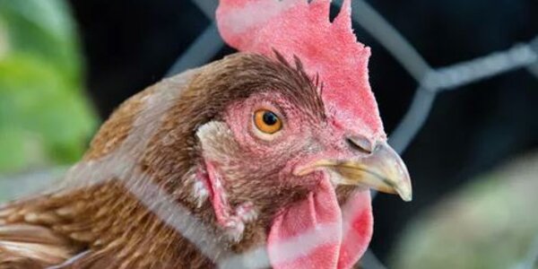 Article teaser image