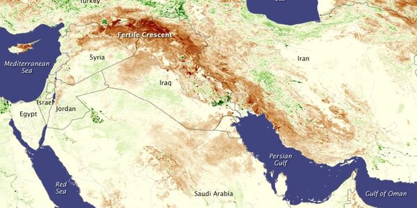 Article teaser image