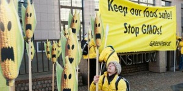 Article teaser image