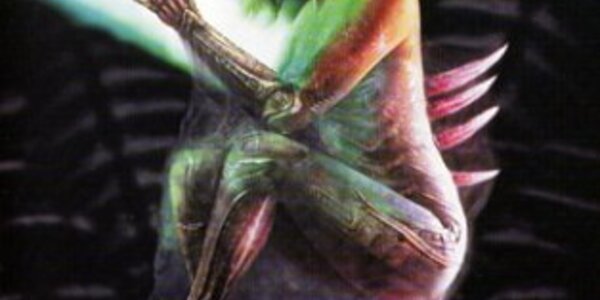 Article teaser image