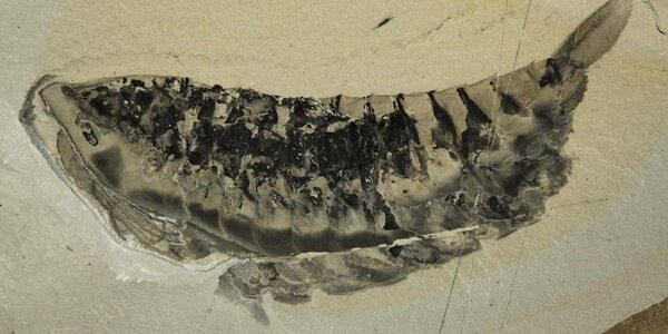 Article teaser image