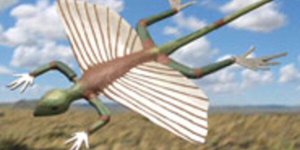 Article teaser image