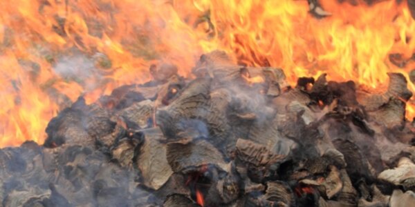 Article teaser image