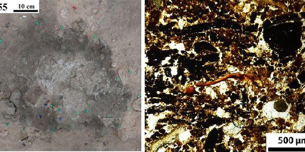 Article teaser image