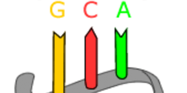 Article teaser image