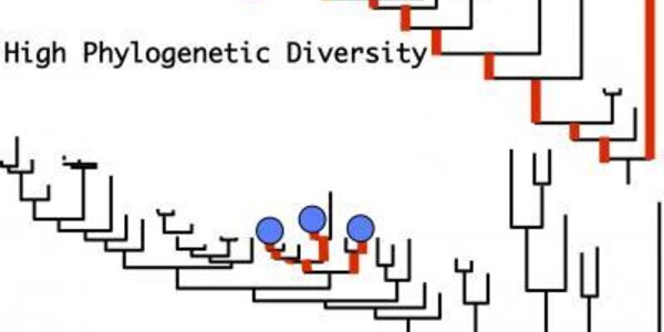 Article teaser image