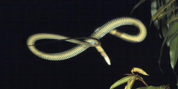 Article teaser image