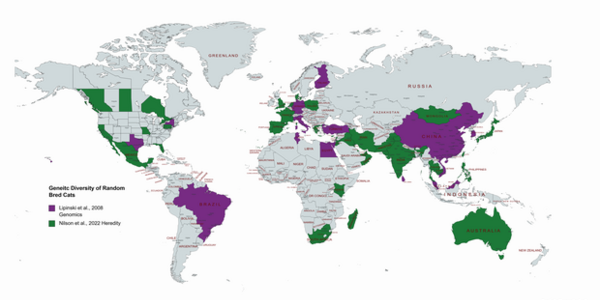 Article teaser image