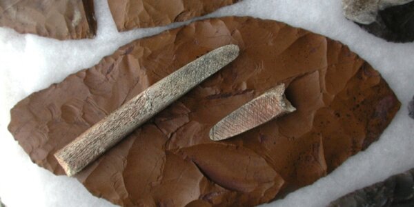 Article teaser image