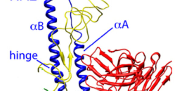 Article teaser image