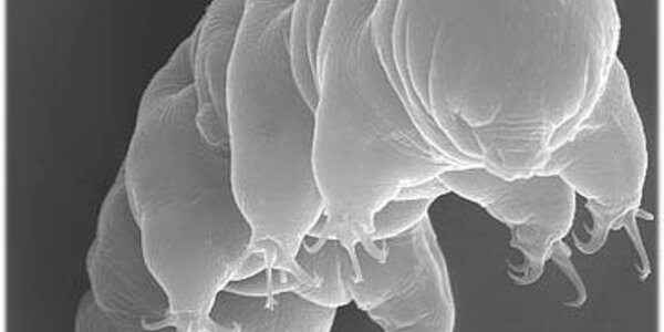 Article teaser image