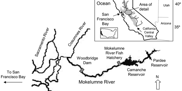 Article teaser image