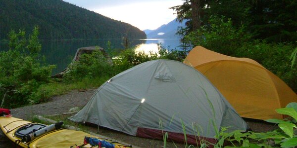 Article teaser image