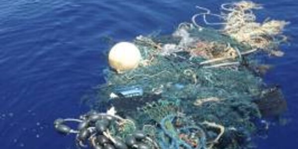 Article teaser image