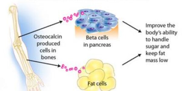 Article teaser image