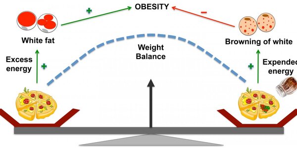 Article teaser image